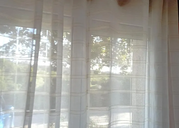 Camino Santiago Guest house